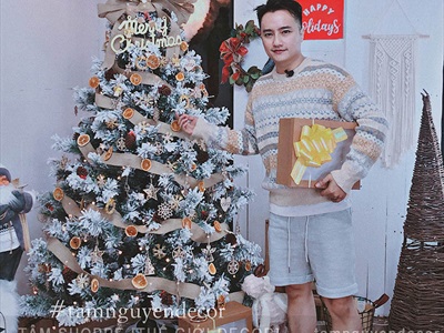 Cây thông Noel phủ tuyết A4 [Cao 1m5-4m5] X-TREE-LP-A4